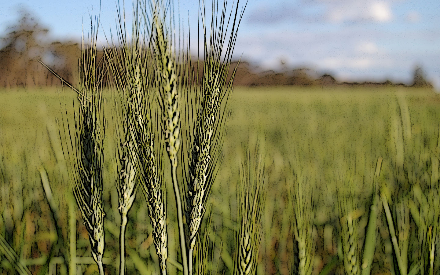 Food Security