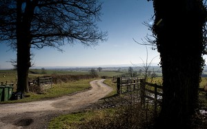 topics_environment_sheep-lane.jpg